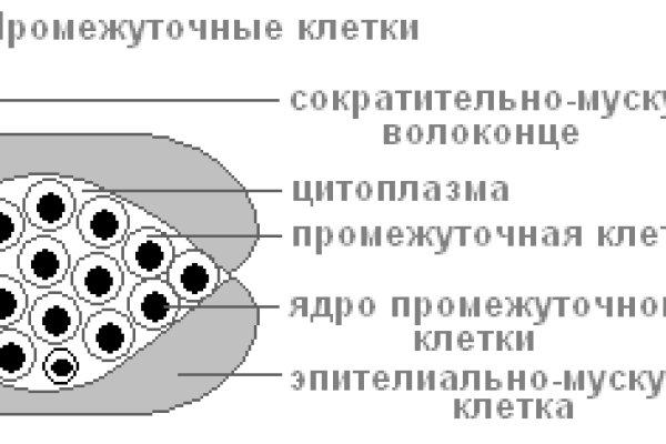 Как вернуть деньги с кракена