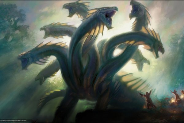 Kraken zerkalo официальный сайт