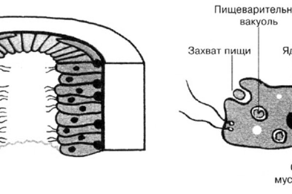 Кракен даркнет что известно