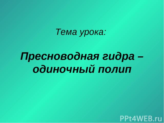 Как пополнить баланс кракен