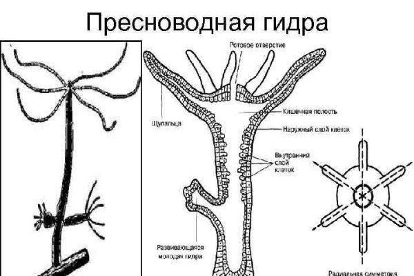 Кракен современный даркнет маркет плейс